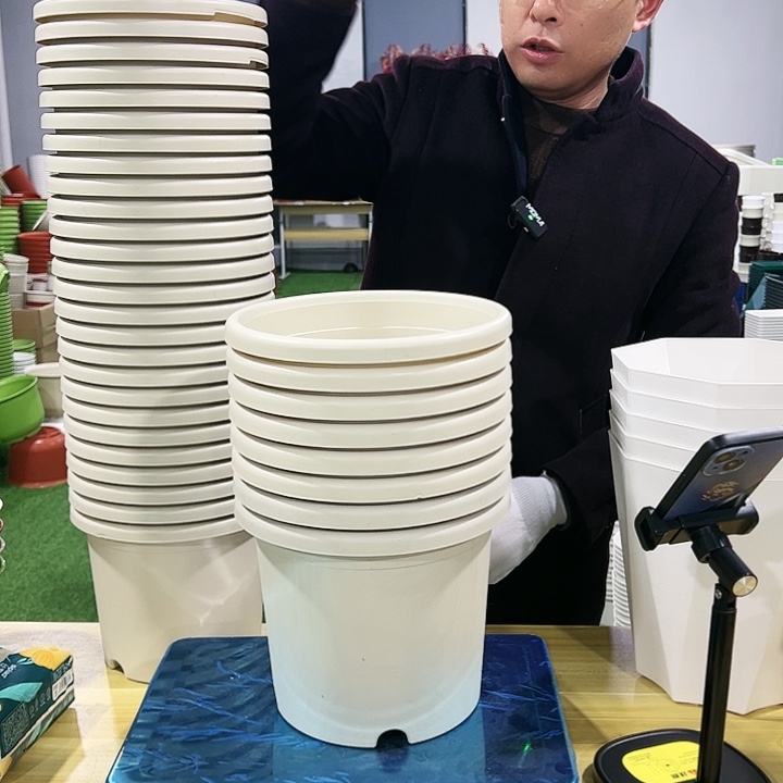 微瑕3号口21高18米色11只无托