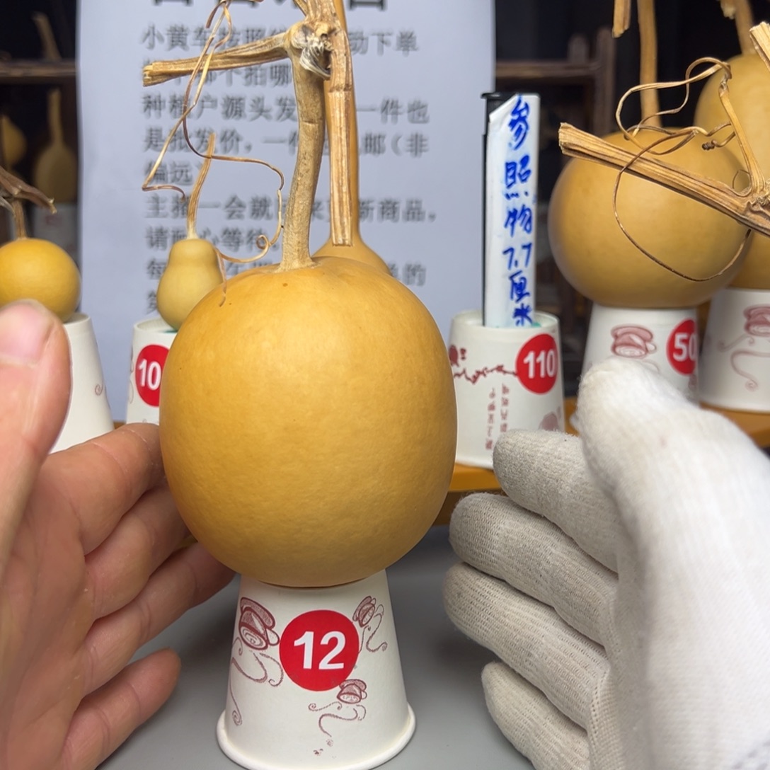 闪电购自助下单编号12