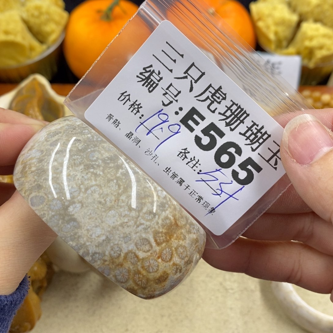 硅化珊瑚（珊瑚玉）1未镶嵌蔷*