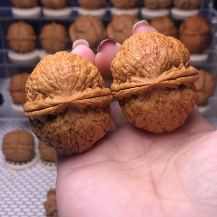 文玩核桃把件34号降龙罗汉43➕尺