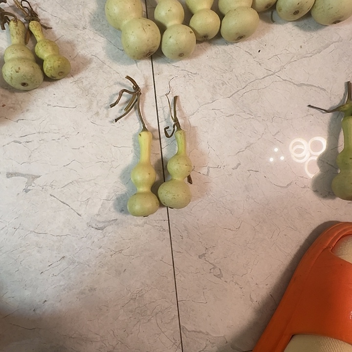 E***冠青皮手把八宝厚皮