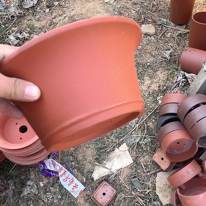 紫砂我要不去我就不会