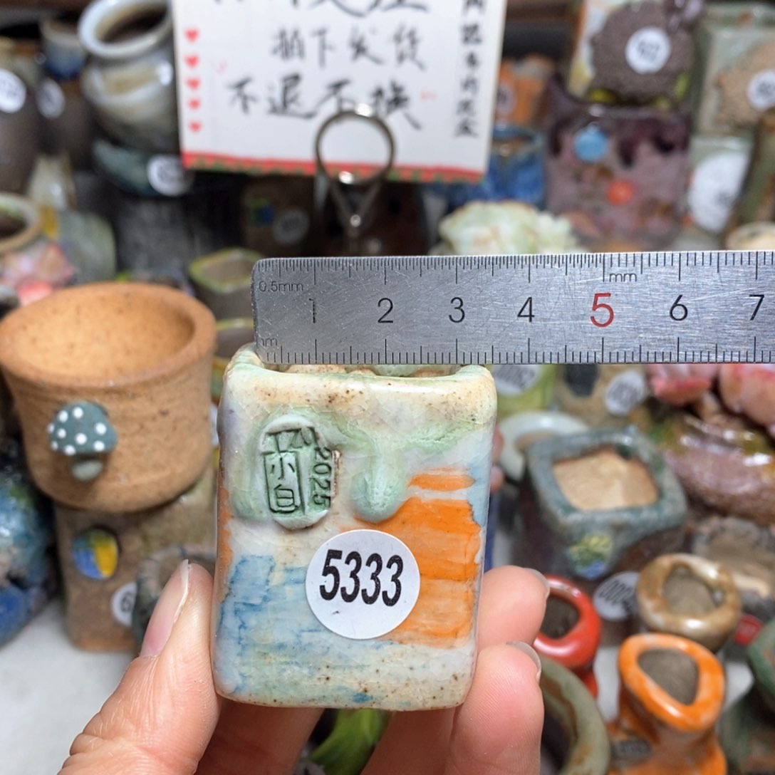 花盆拍3送一个小礼物