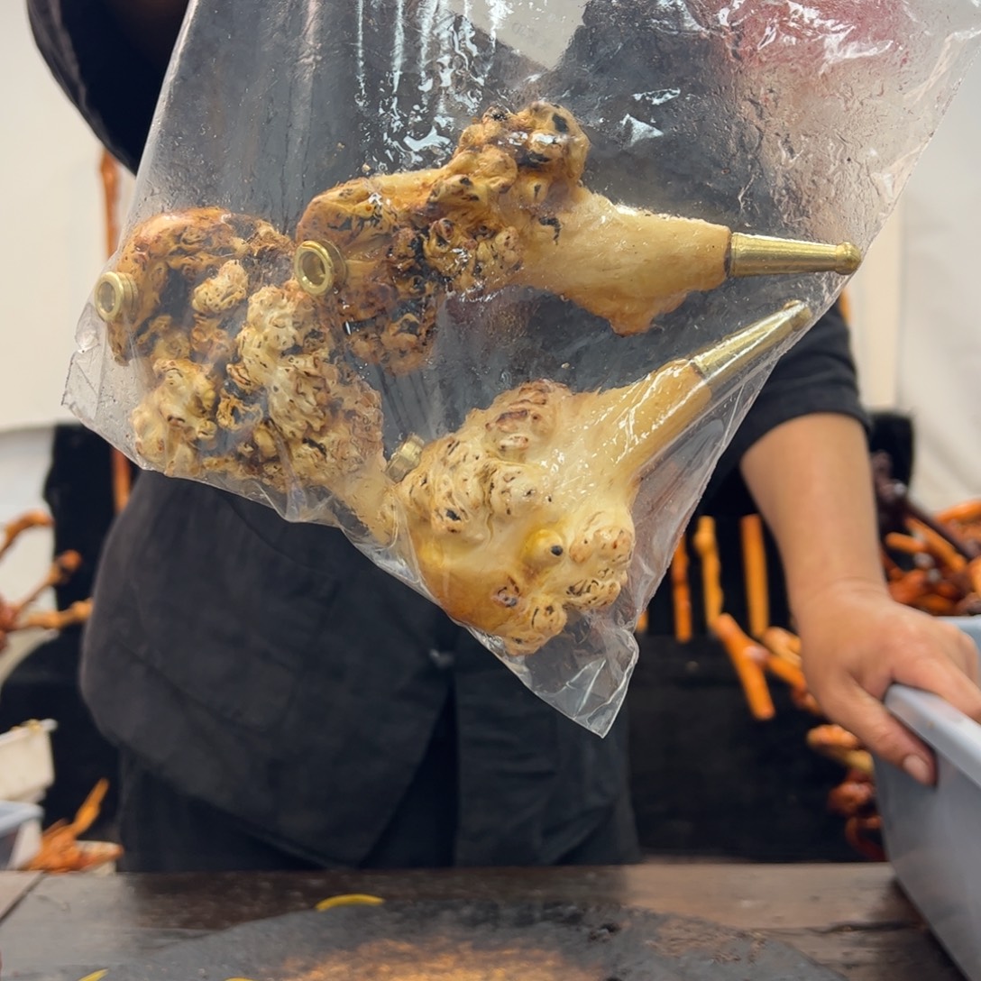 其他黑果木黑果木934