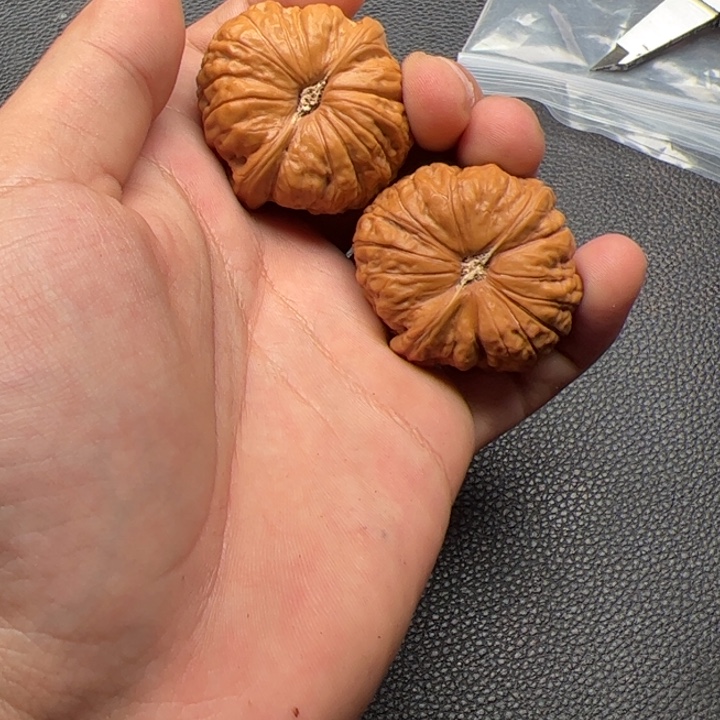 文玩核桃吊坠?**?44核桃