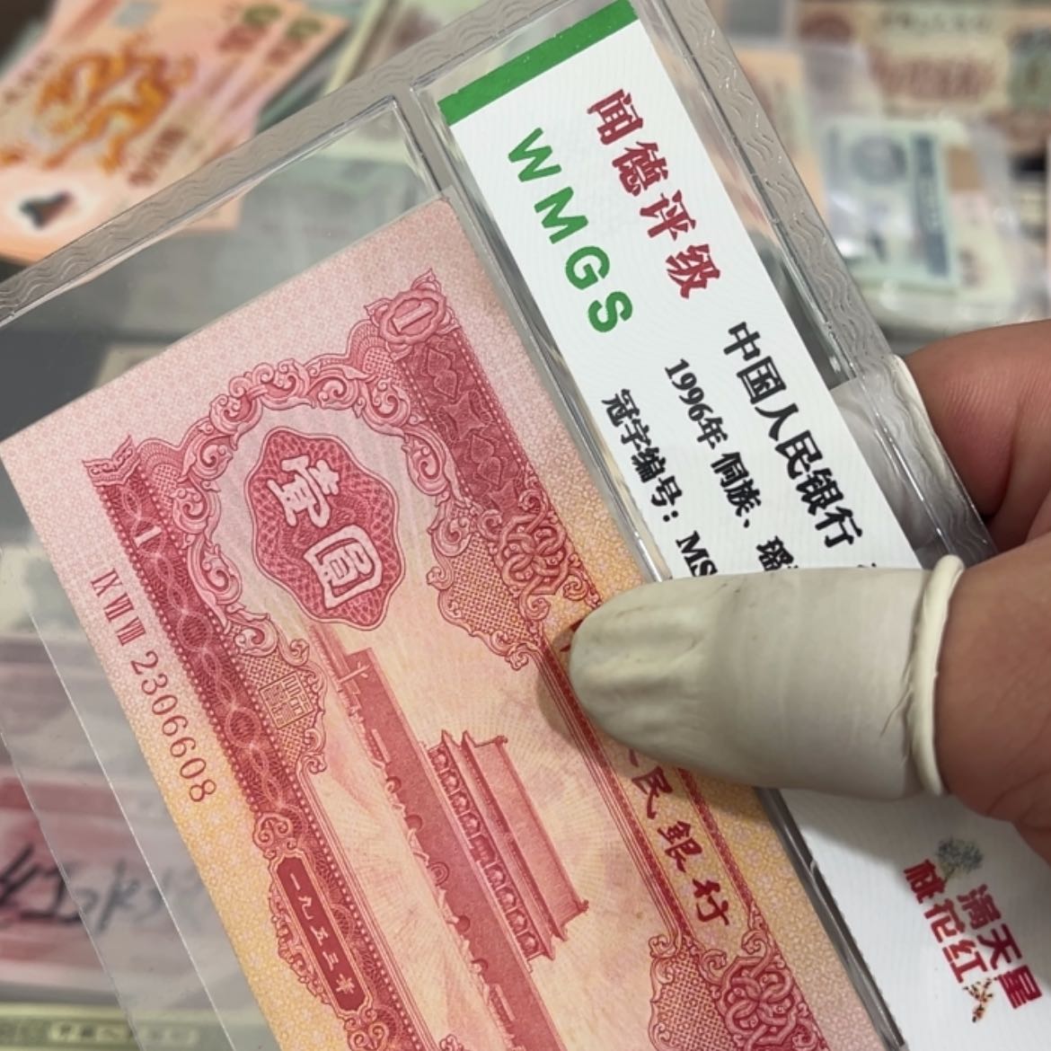 【闪购商品】守**兔红一尾608 F