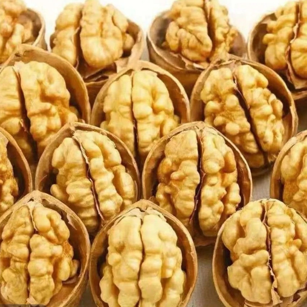 （助农产品）净重2斤云南老树核桃天然小顆粒紙皮核桃營養豐富