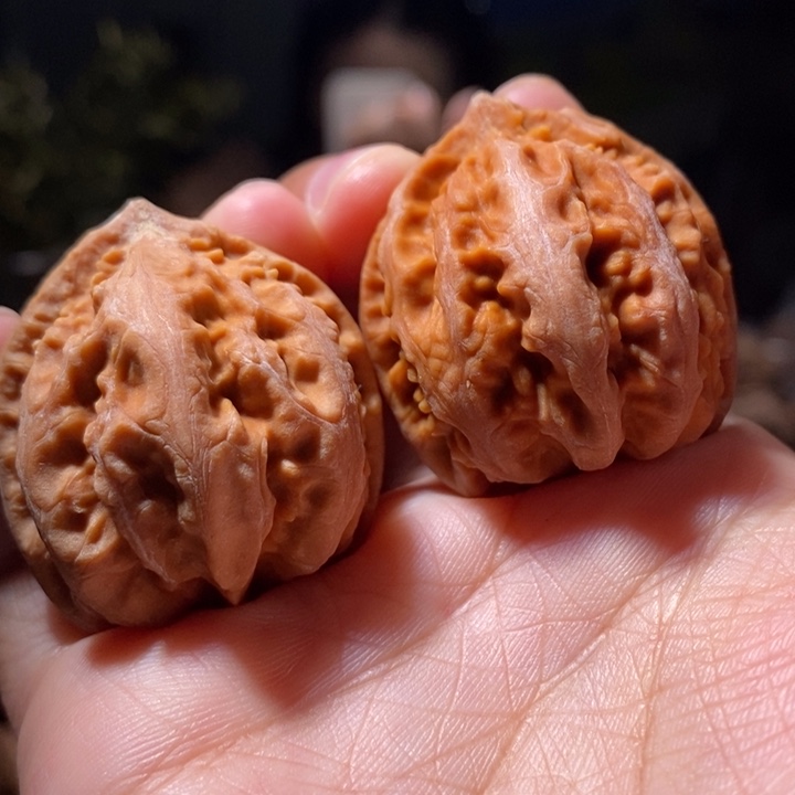 文玩核桃把件东北楸子小路 253