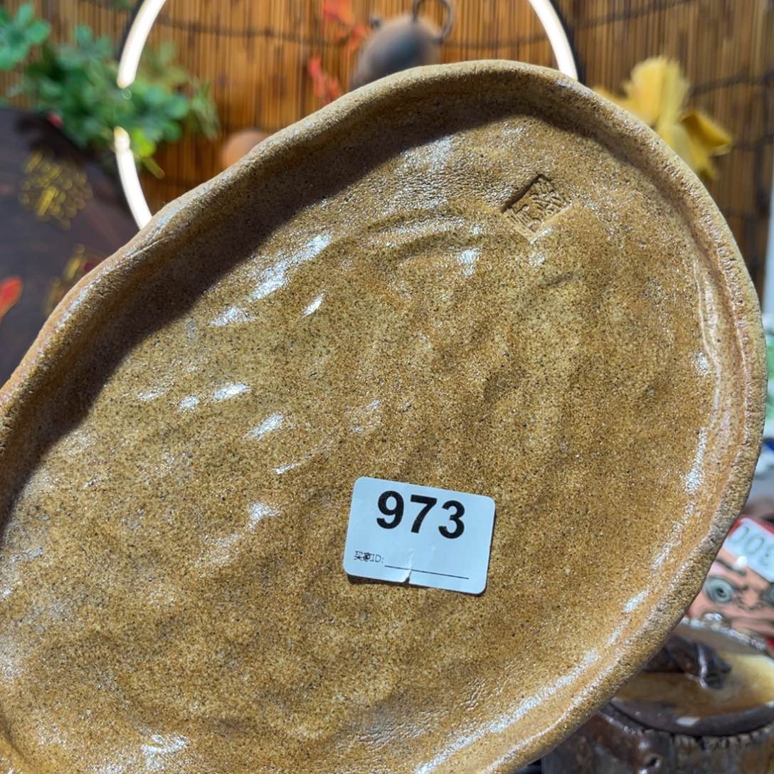 木村信弘柴烧保平