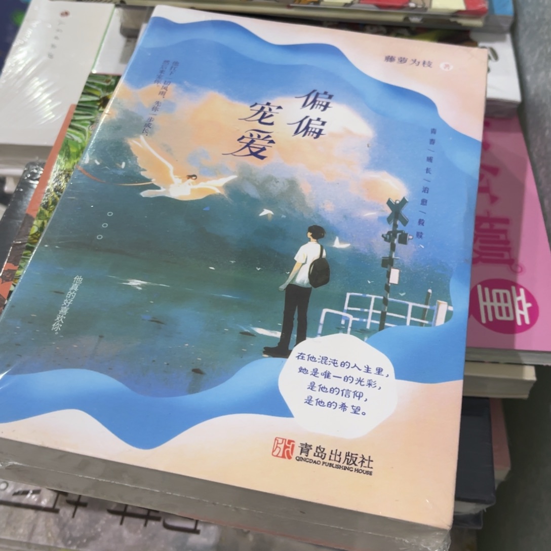 永***店偏偏宠爱两本一套