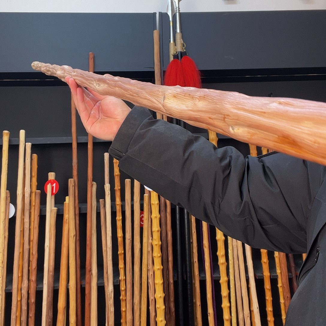 龙骨铁甲鞭杆直播直播