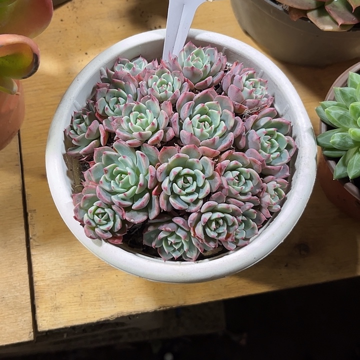 不***豪00000000000000000394