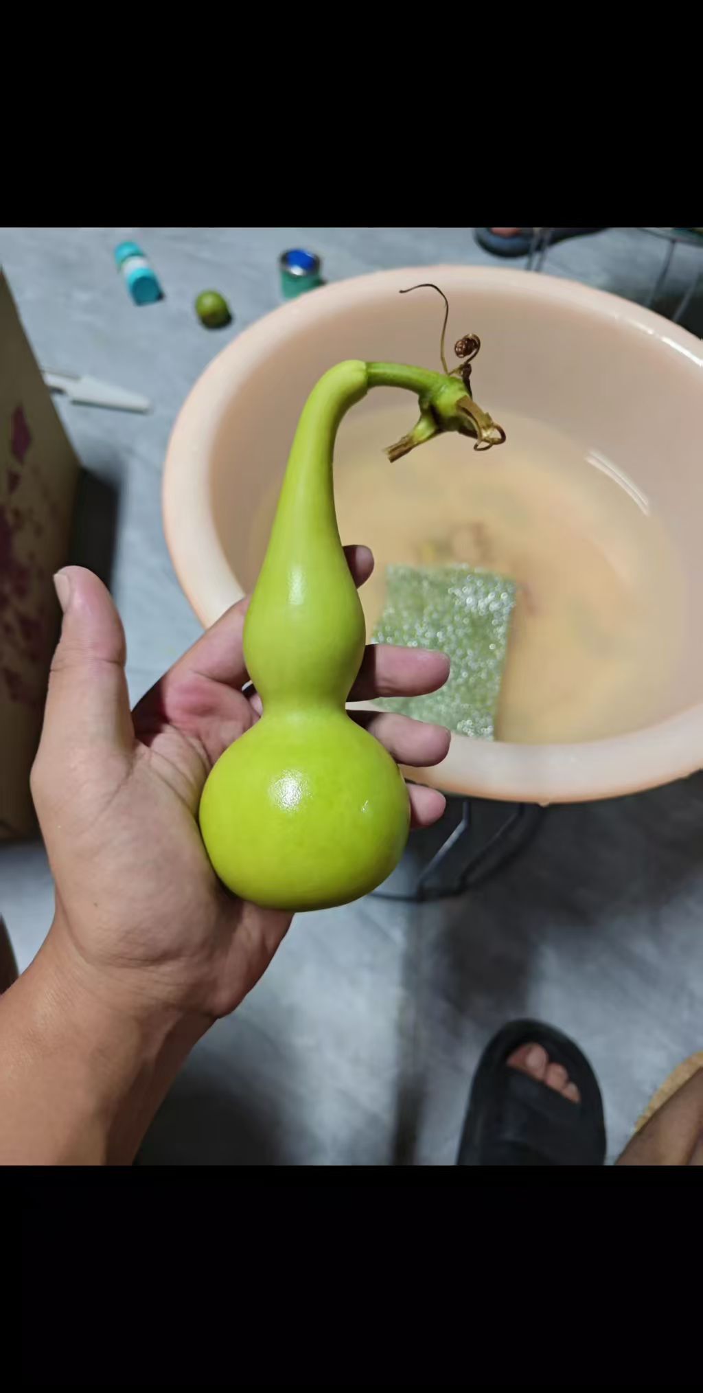 天然葫芦可根据直播间介绍下单选购