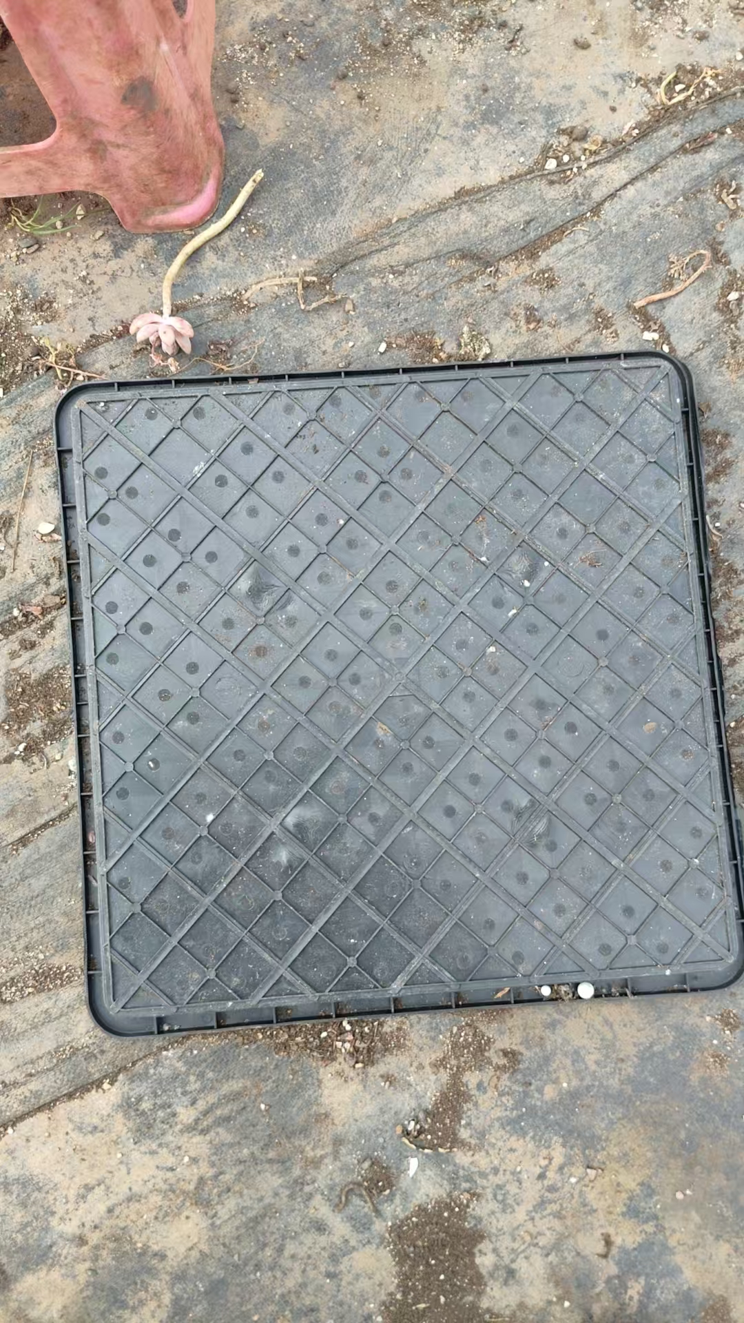 方形接水盘41X41尺寸加厚 10个一组吹吹多肉多肉植物