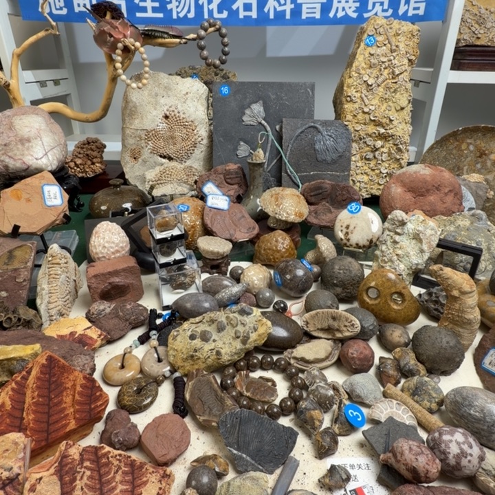 玉家居标本家居摆件