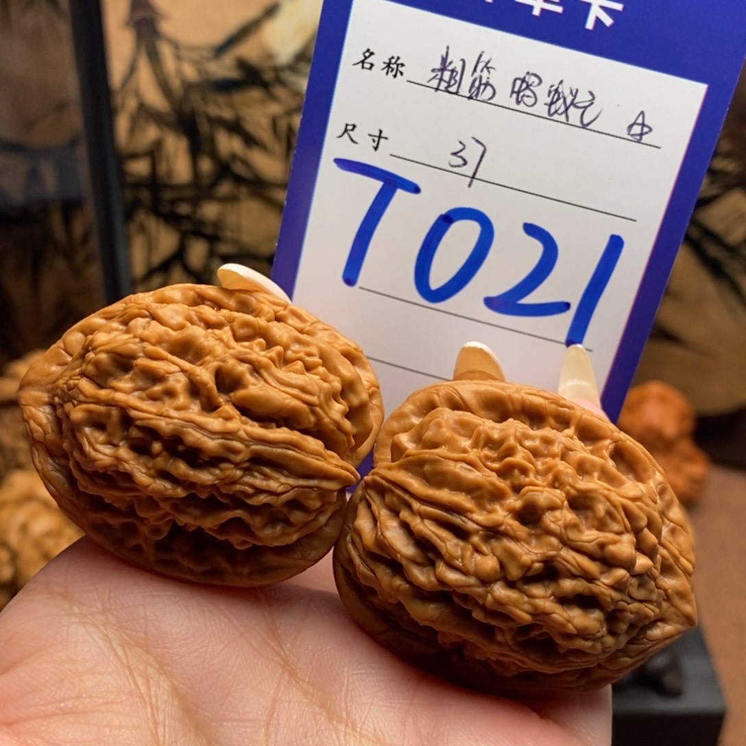 弈***冥把件文玩核桃粗筋蚂蚁王37