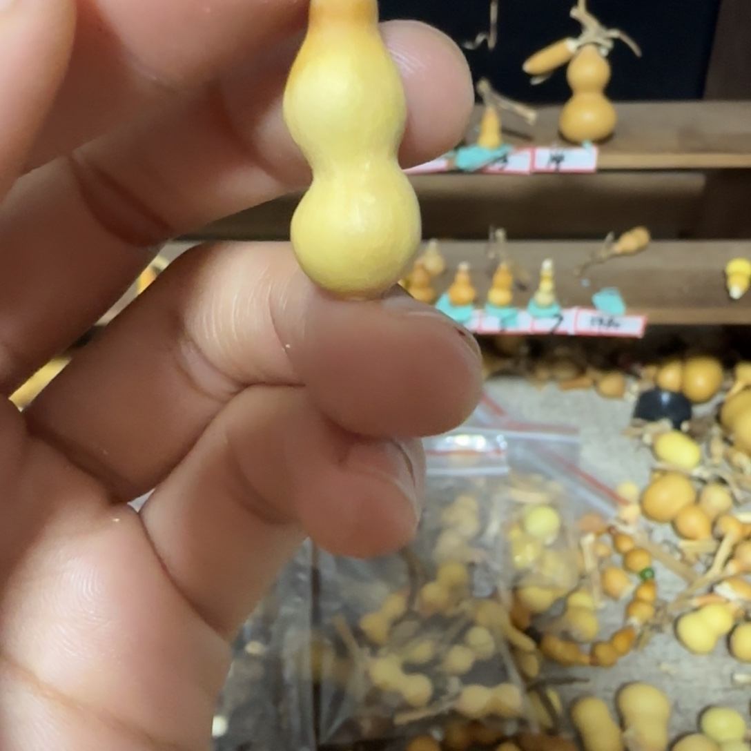杨***串打孔不退不换！秒拍秒退拉黑！