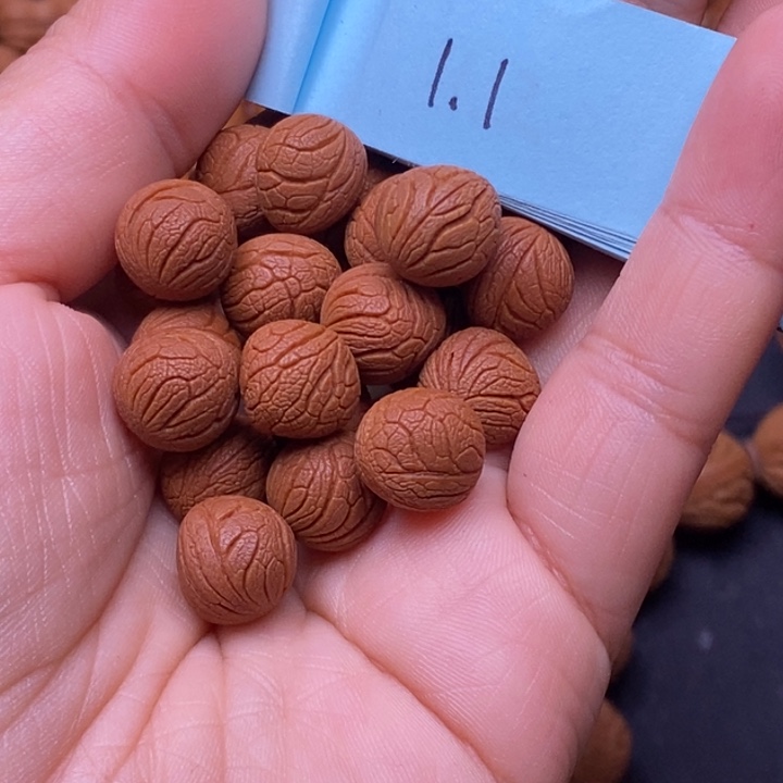 秦岭龙纹桃核21颗