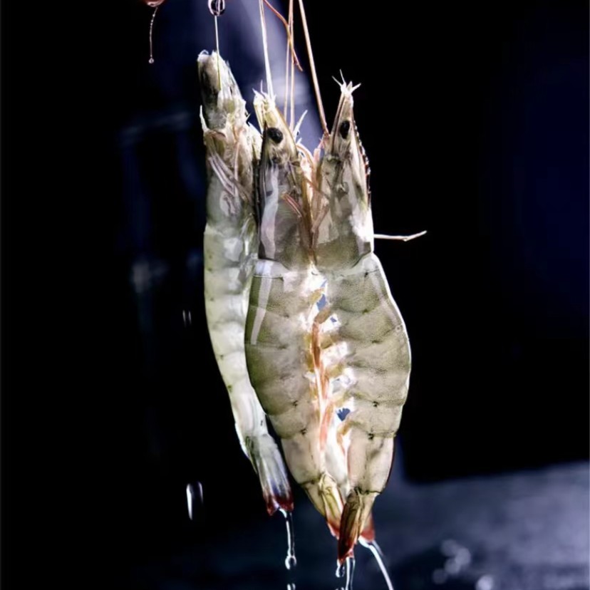 【脑脑自营】盐冻大虾30-40 1650g