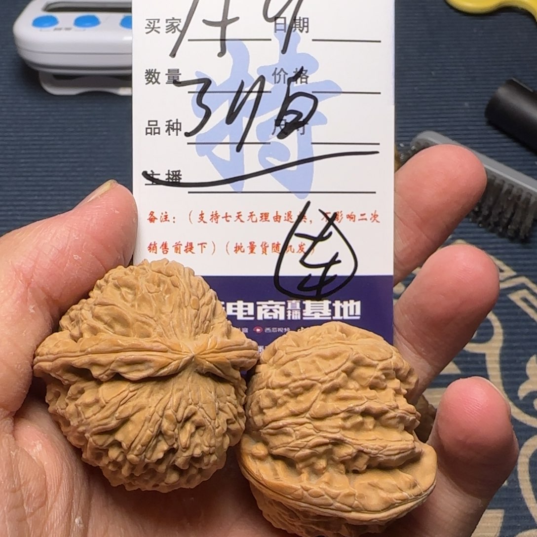 白狮子的故事是一个人