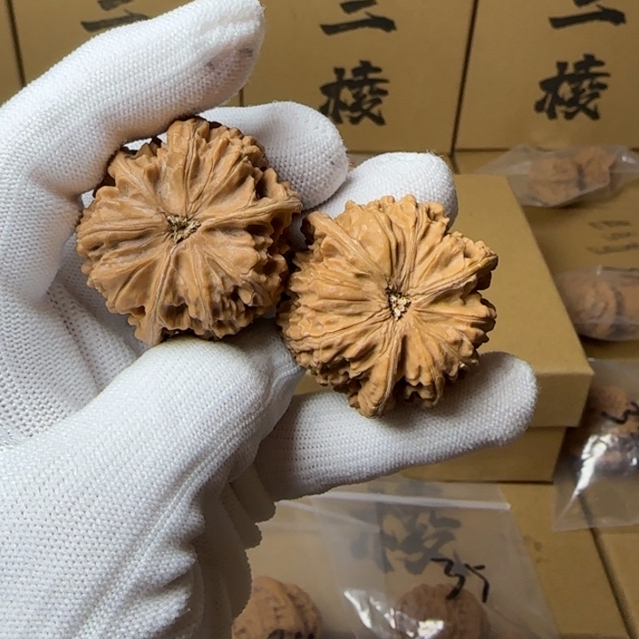 文玩核桃吊坠习*简单包装38尺寸玉龙三棱