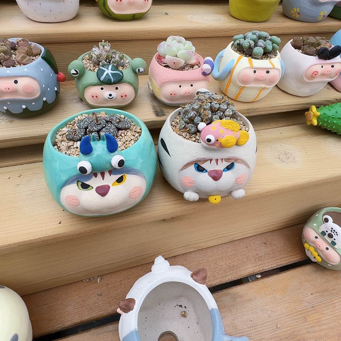 欣*多肉植物猪猪盆一对已上桌