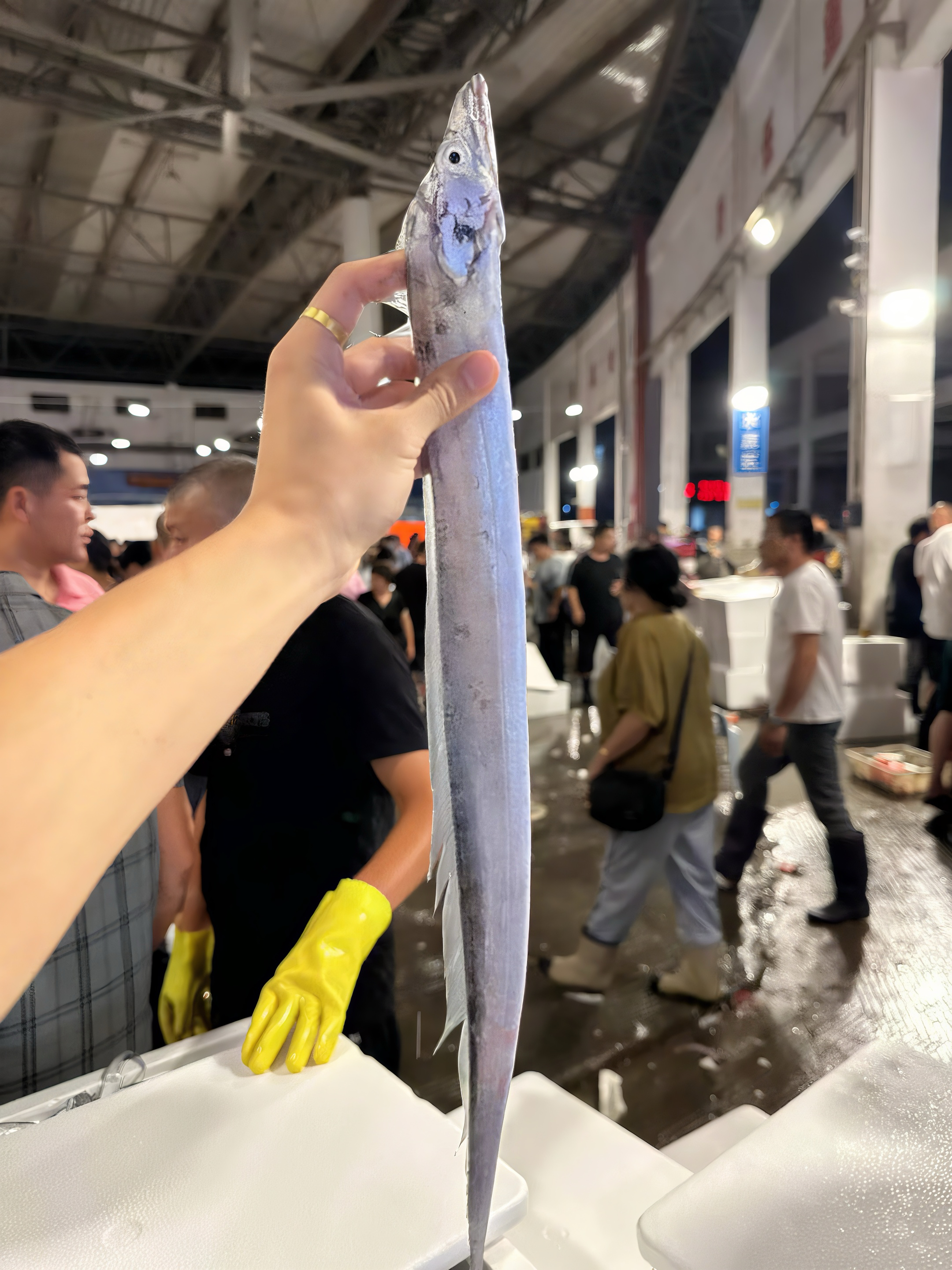 《东海优品》台州东海野生小带鱼 顺丰包邮