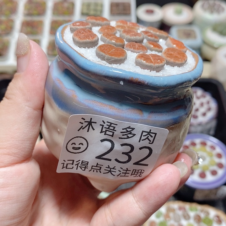 一物一拍 所见即所得232