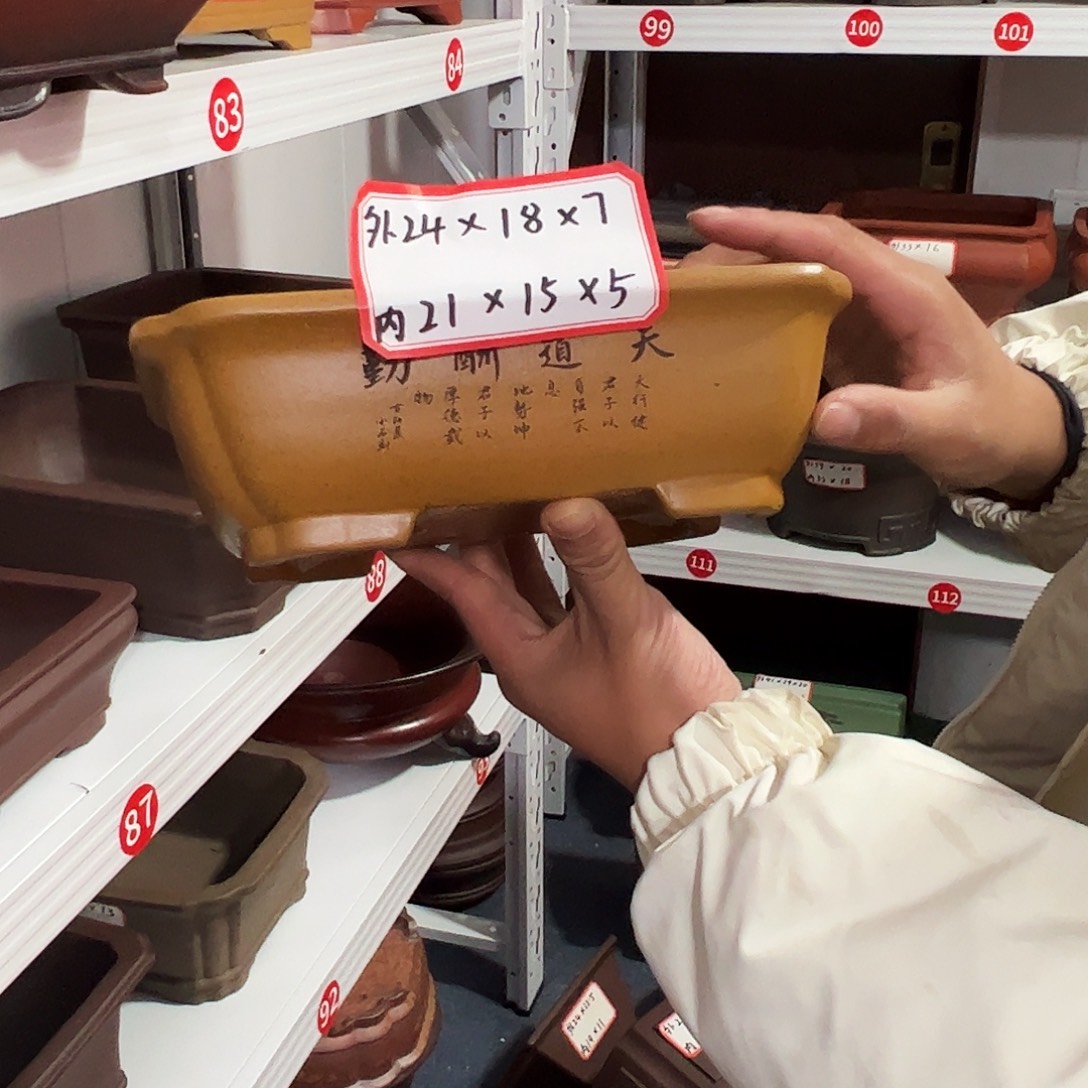 紫砂其他紫砂花盆