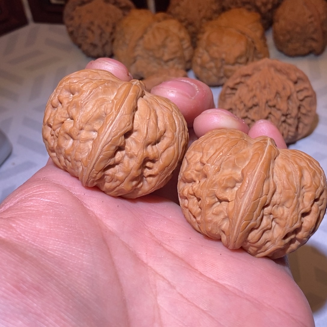 蔡*绅43尺 全品无修 白茬元宝