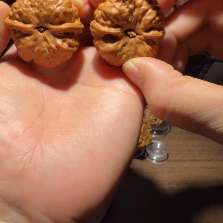 1***梦文玩核桃把件蛤蟆的眼睛是真的好看啊我的天啊我
