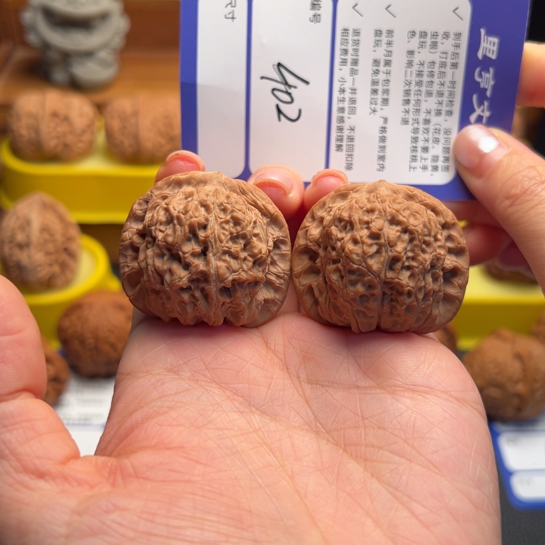 核桃492全品血麒麟38尺