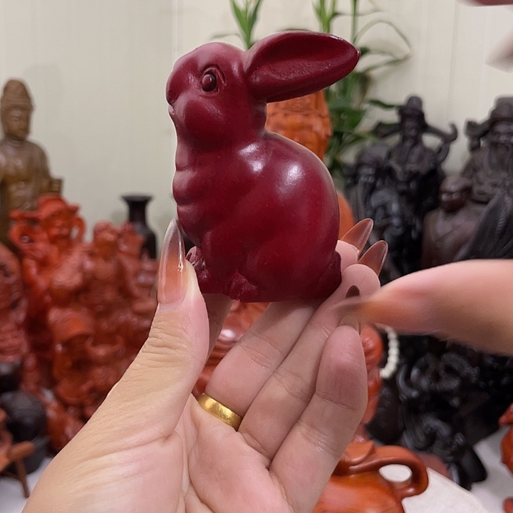 香榧木小兔子gyvgggg