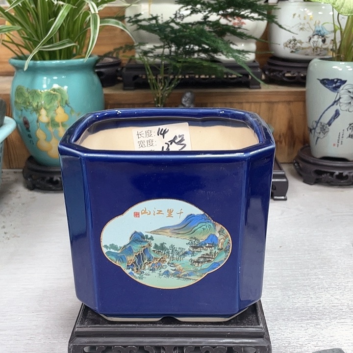 陶瓷花盆晚场福利抢购