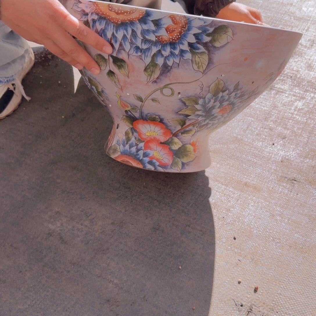 海***燕盆土里有很多小虫子在里面的