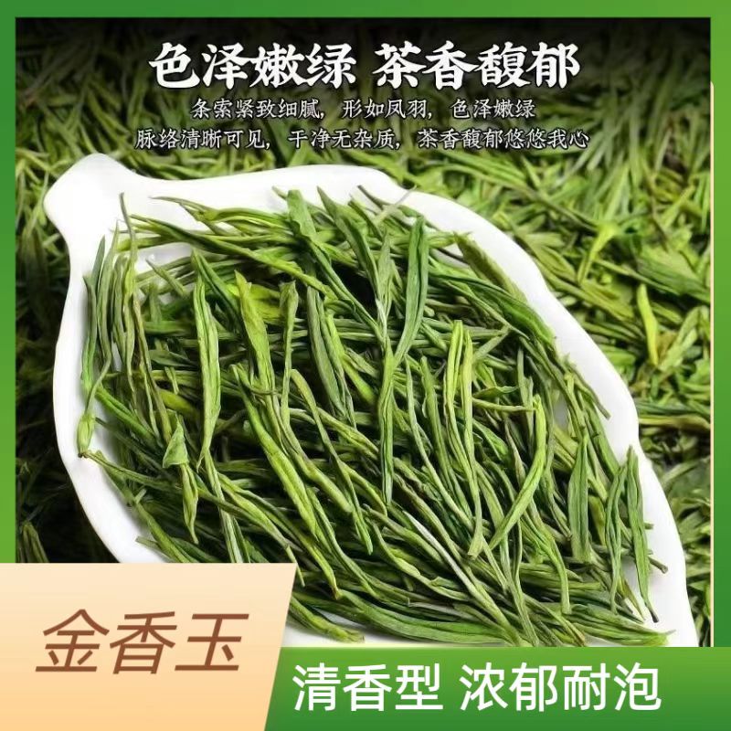 (小伟推荐）2025年金香玉兰花香