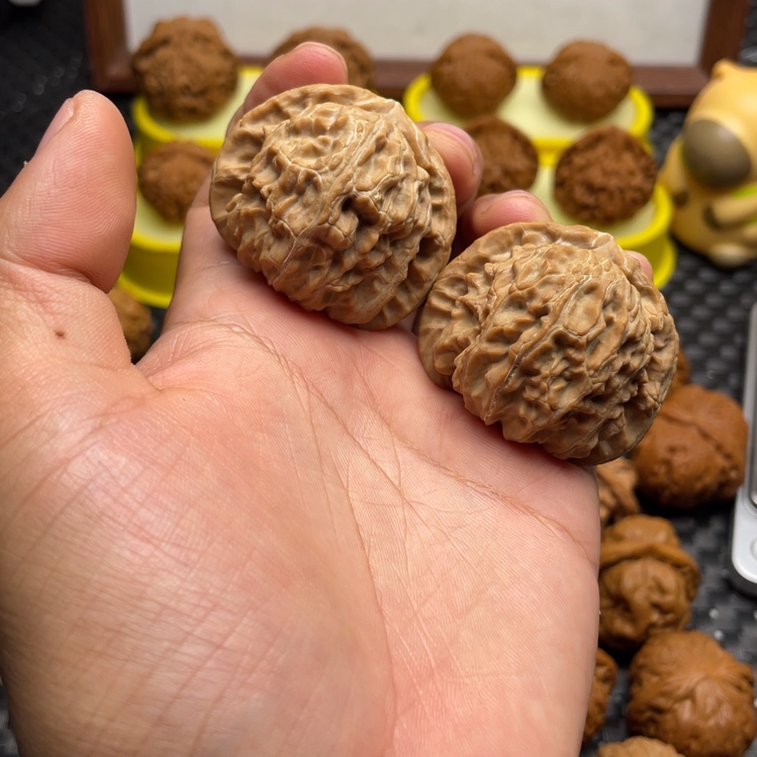 文玩核桃把件白狮子42全品白茬