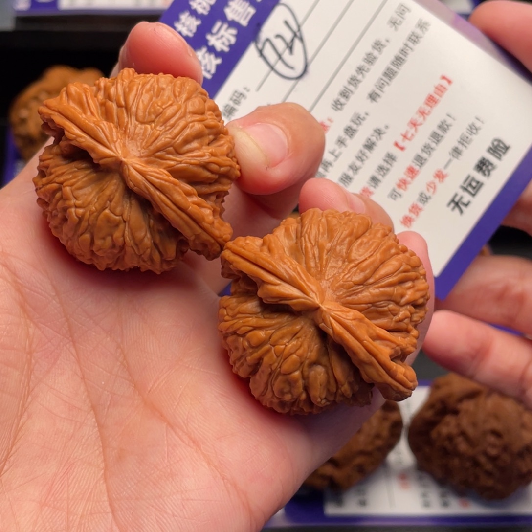 D***s文玩核桃把件白狮40