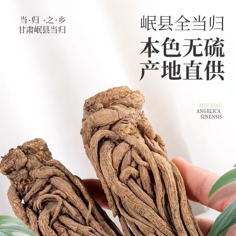 甘肃岷县当归整条《随机赠送黄芪主根一条》