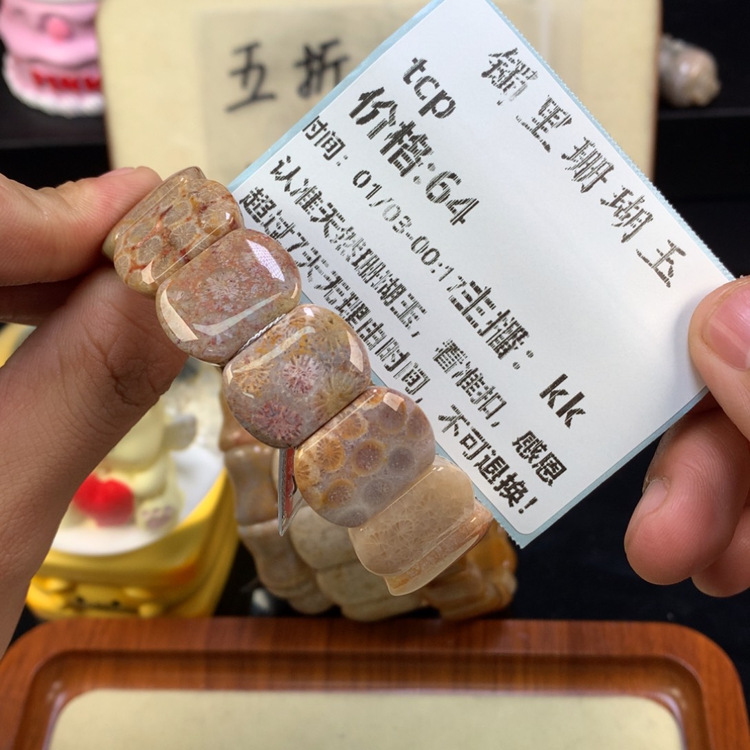 t***p硅化珊瑚（珊瑚玉）未镶嵌颈饰