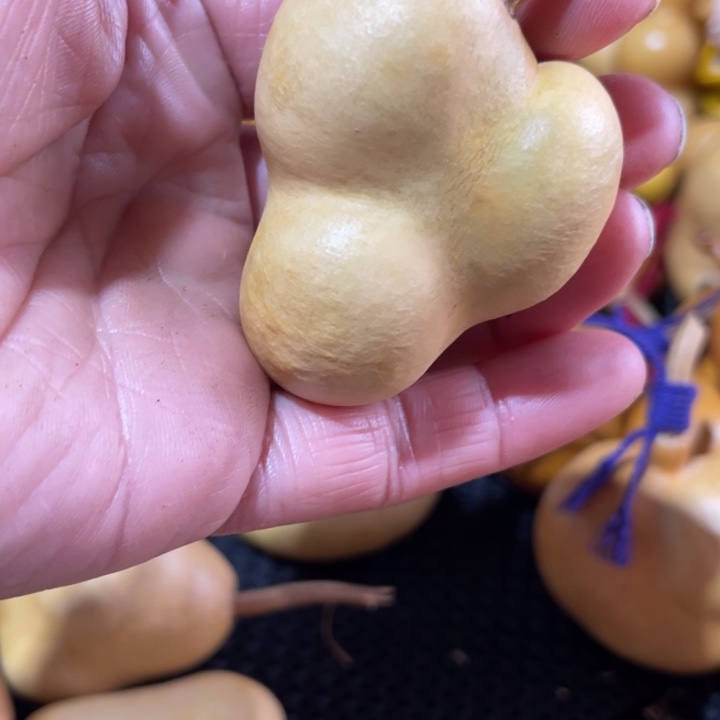 滨***哥葫芦葫哈哈哈哈哈哈哈哈