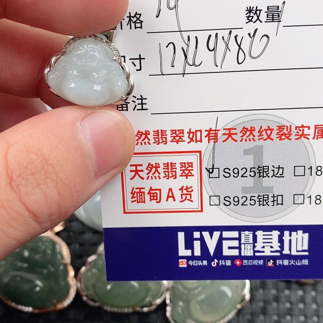 翡翠银S925镶嵌颈饰