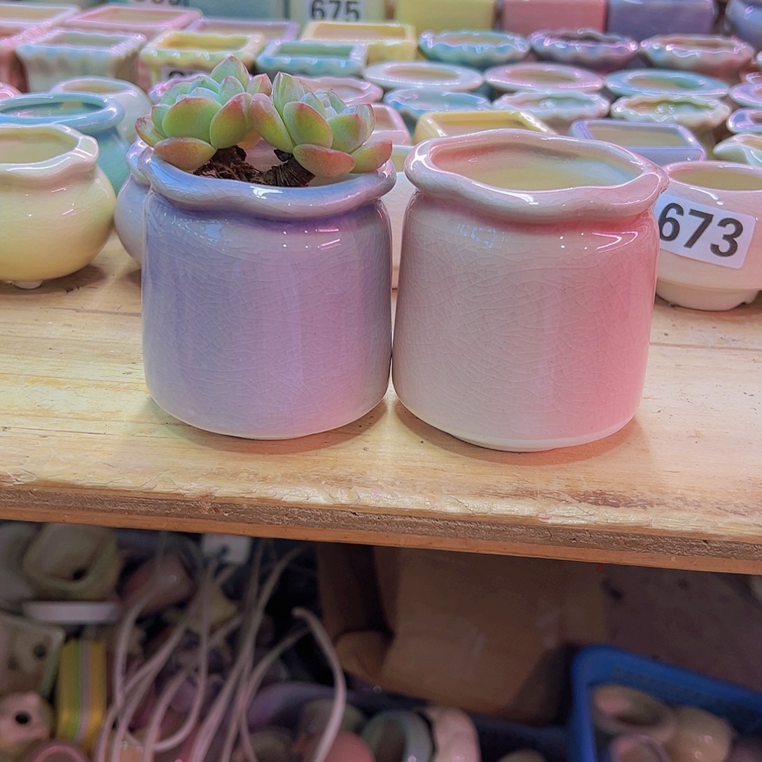 陶瓷花盆当场凑满12包邮