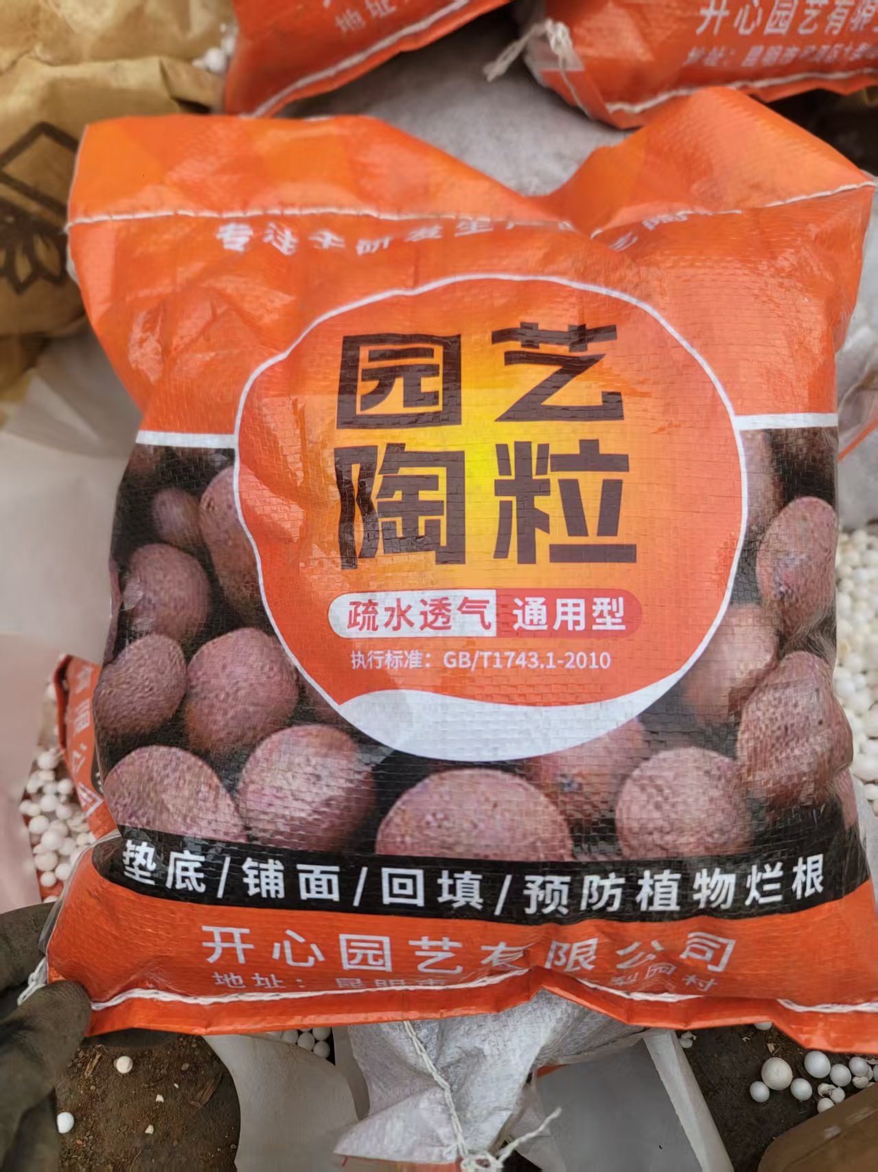 精品多肉绿植 专用陶粒（5L）