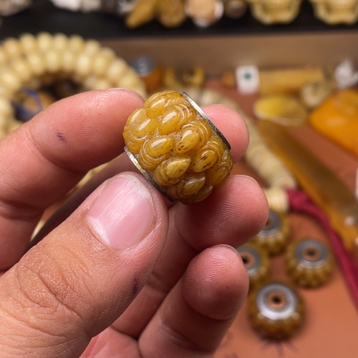 驼骨其他人工养殖