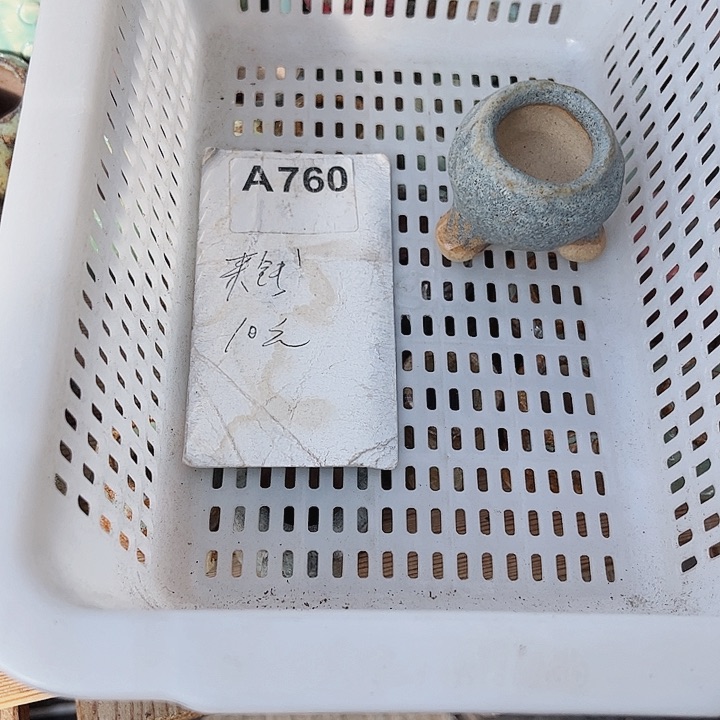 Y**a760密密麻麻密密麻麻你