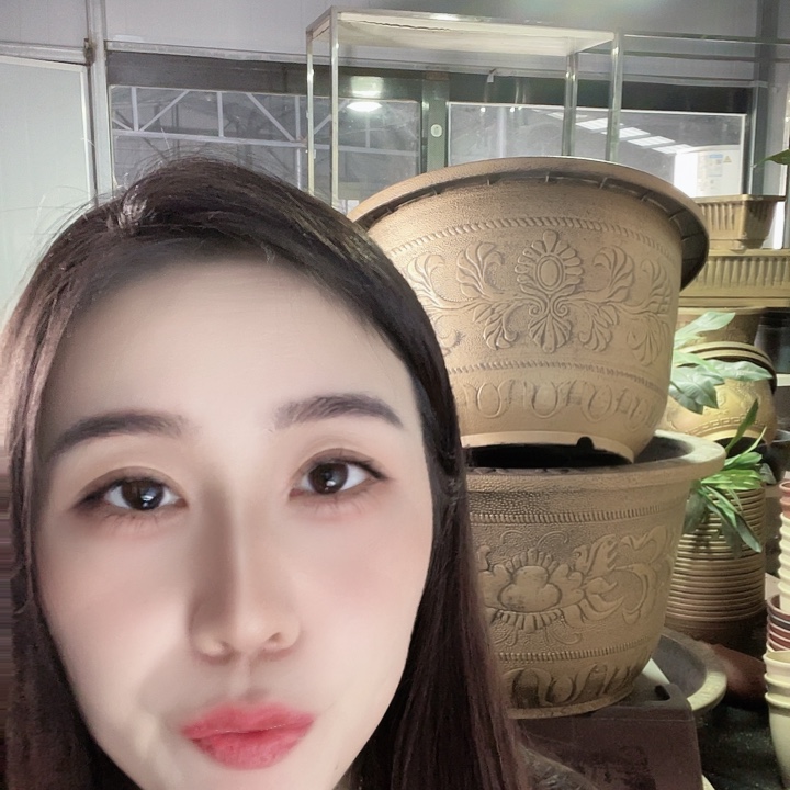 圆70口径花盆两个