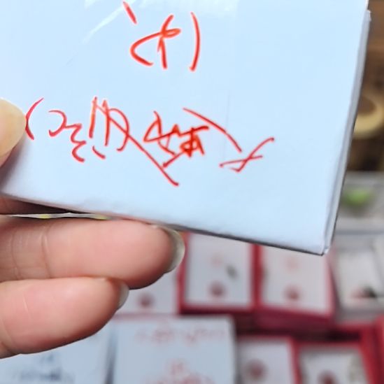 蟋蟀石志明沪C一条