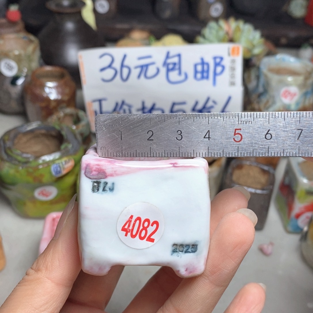 拍5送一个小礼物