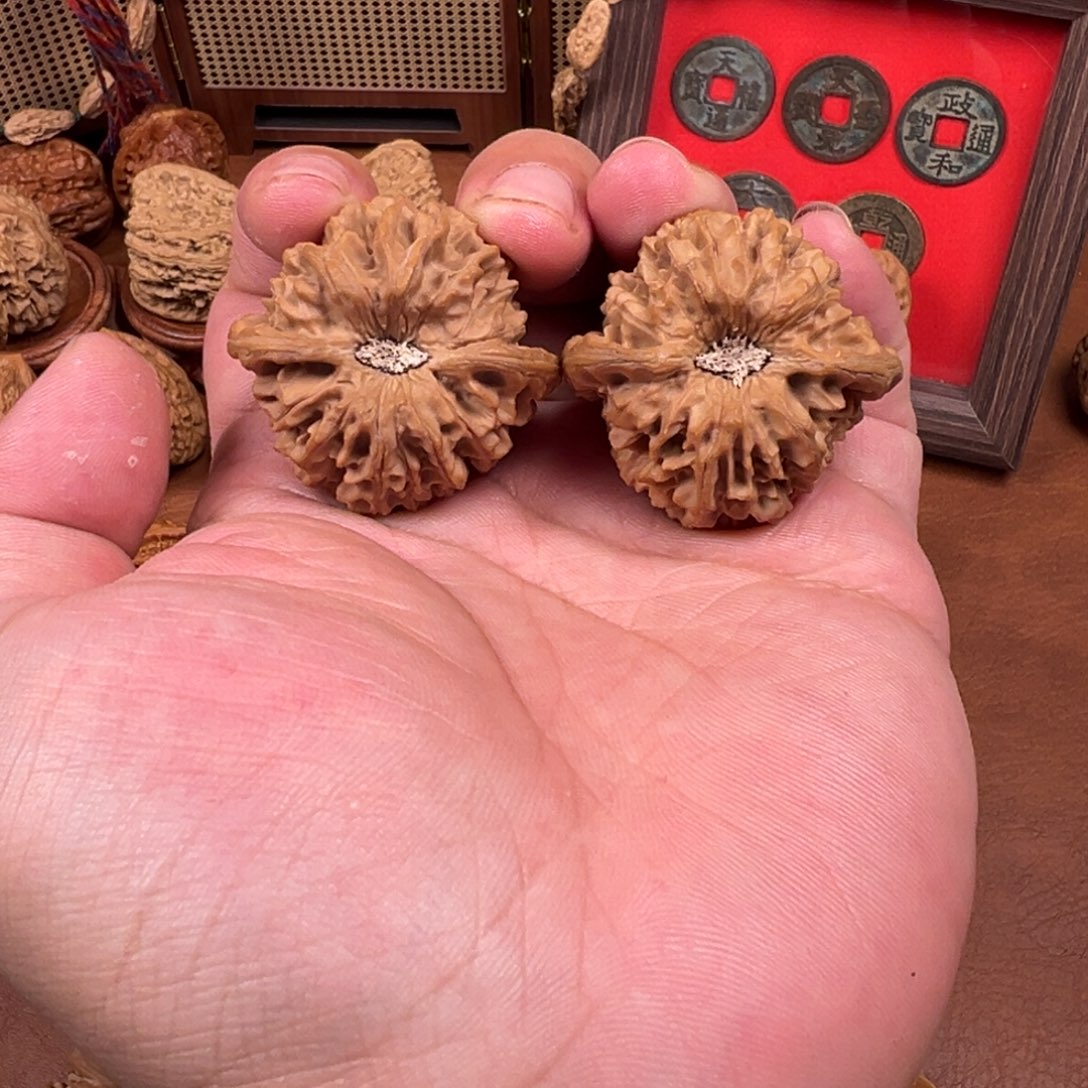 其他核桃40尺全品龙门涧